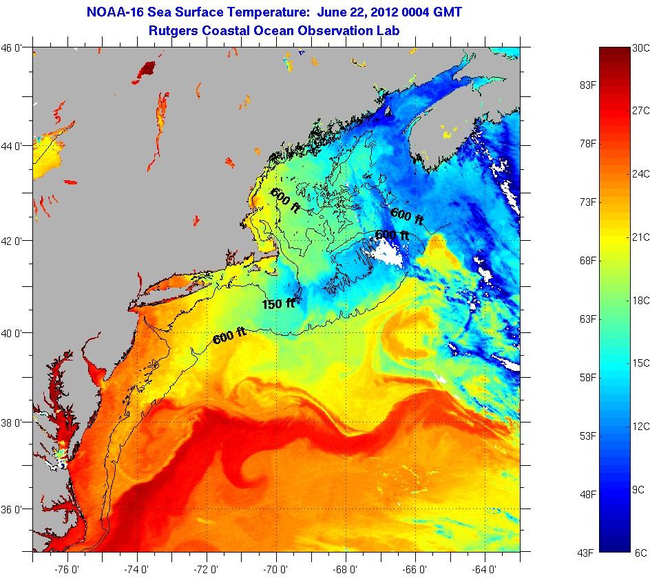 The swirling Gulf Stream off the east coast of the US [944x840] MapPorn