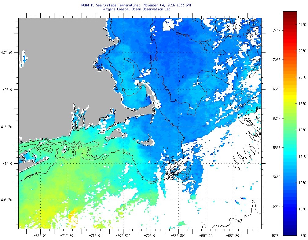 Cape Cod Sea Surface Temperatures Friday, November 4, 2016 113300 PM GMT