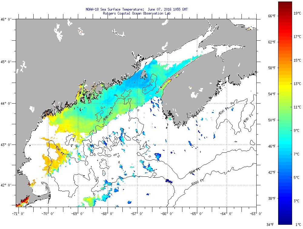 Maine Sea Surface Temperatures Tuesday, June 7, 2016 25500 PM GMT