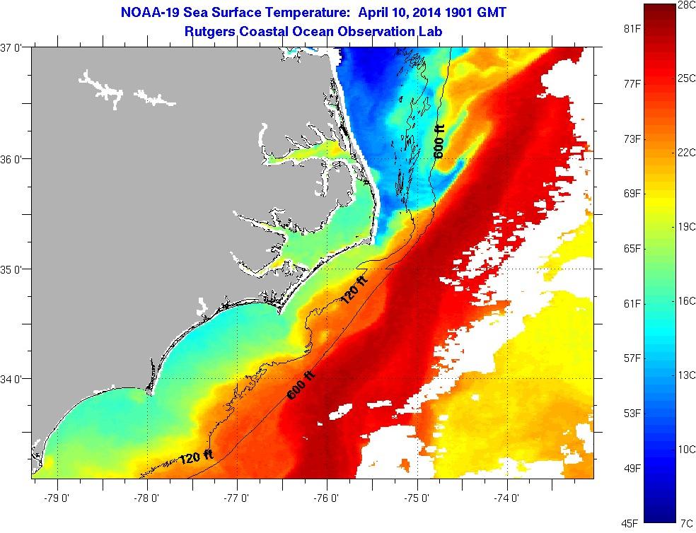 Surf Report: - Water Temps are over 60! | Pier and Surf Forum