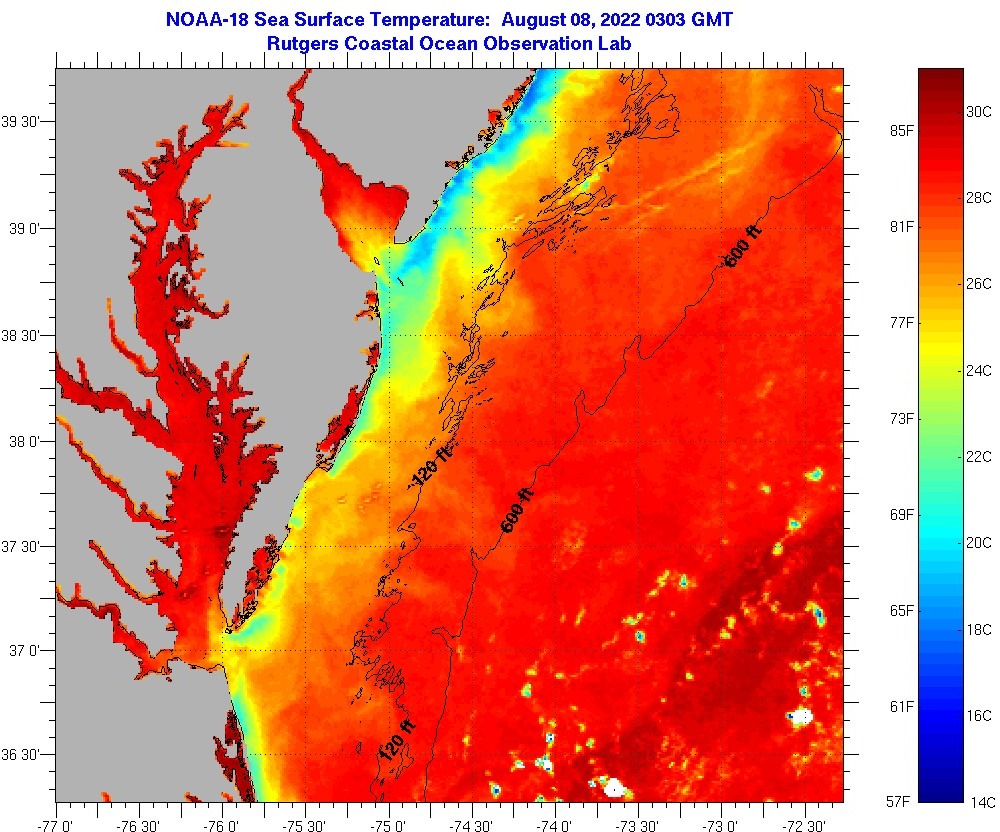 IMCS Satellite Imagery