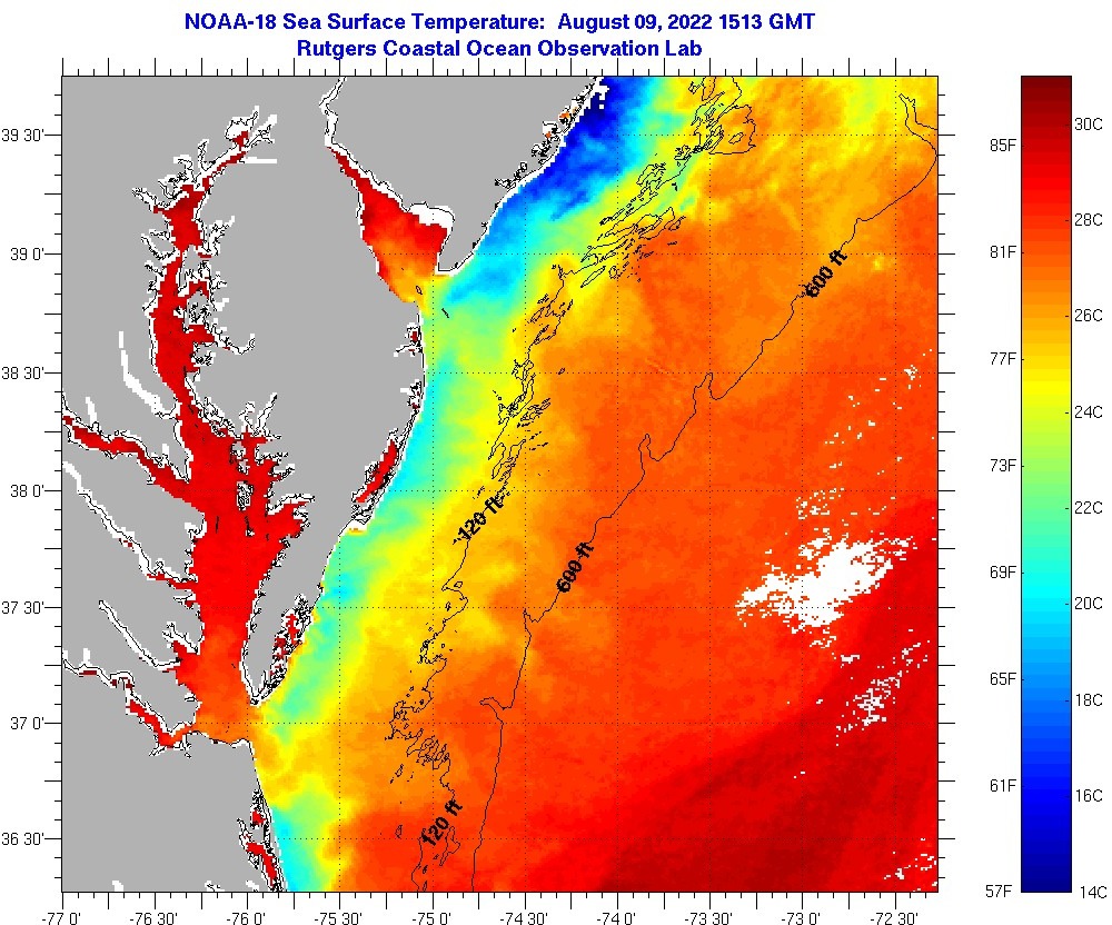 IMCS Satellite Imagery