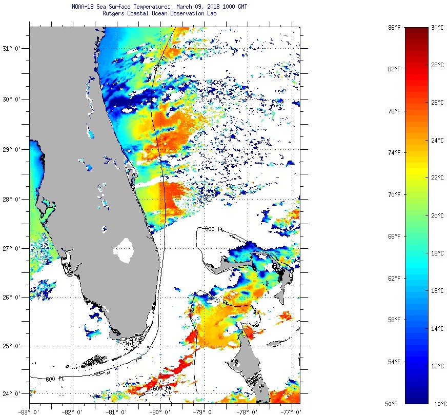 North Florida Surf Forecast - Surf Station Surf Report