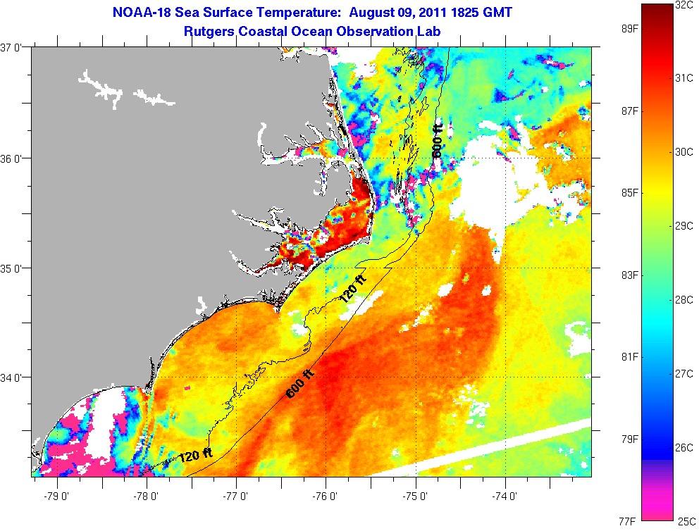 Fish Kills About To Happen. Here's Why (homes, pools) - Coastal North ...