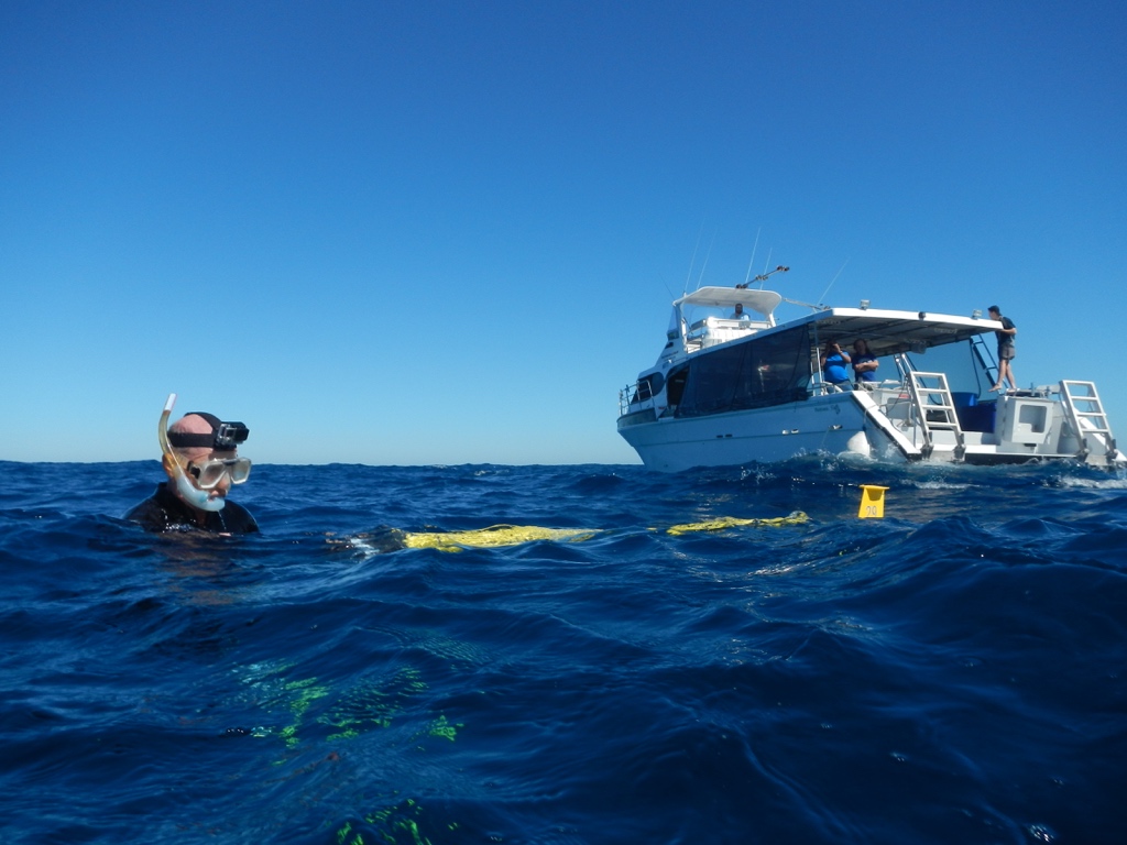 Glider RU29 is deployed on November 4, 2016 offshore Perth, Australia from a recreational diving vessel with Rutgers divers in the water and University of Western Australia scientists on board the ship.