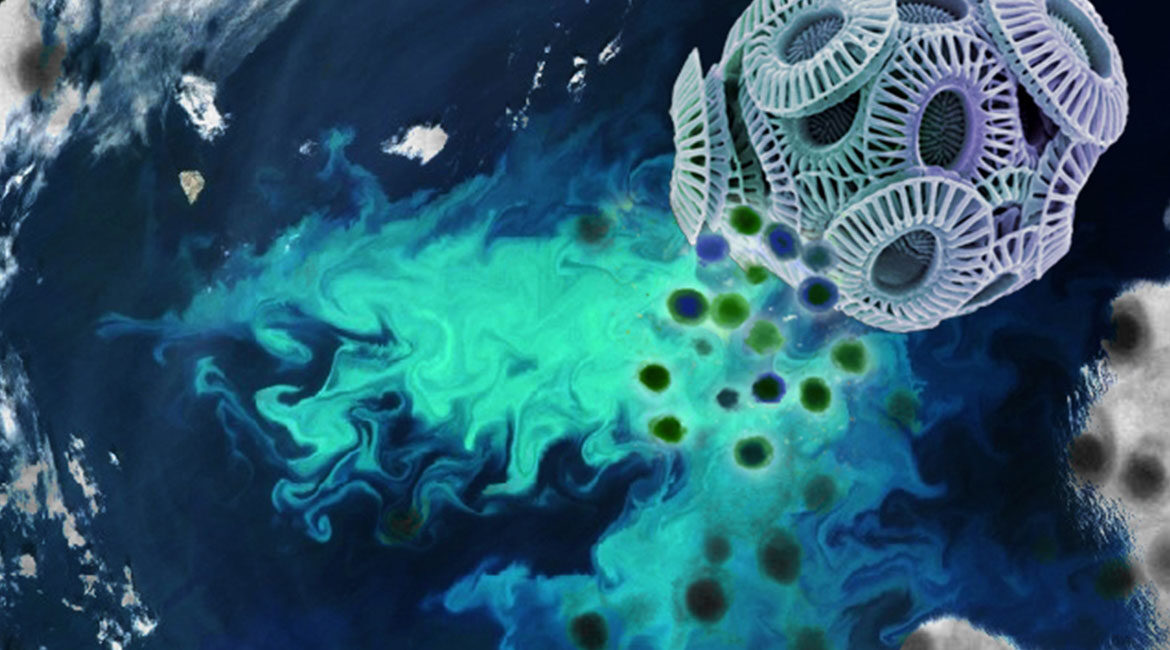 virus-ocean-carbon
