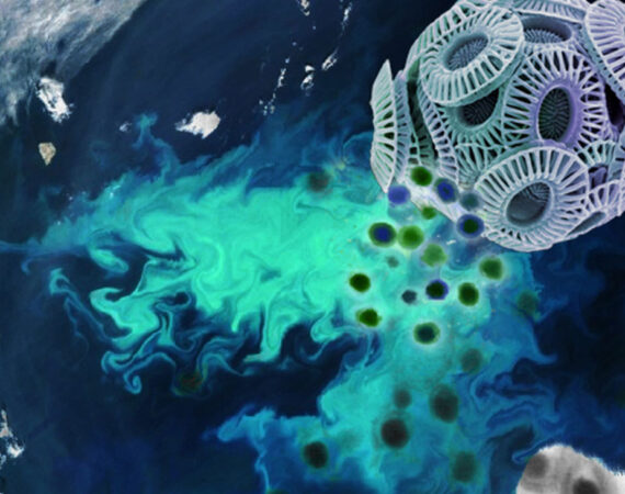 virus-ocean-carbon