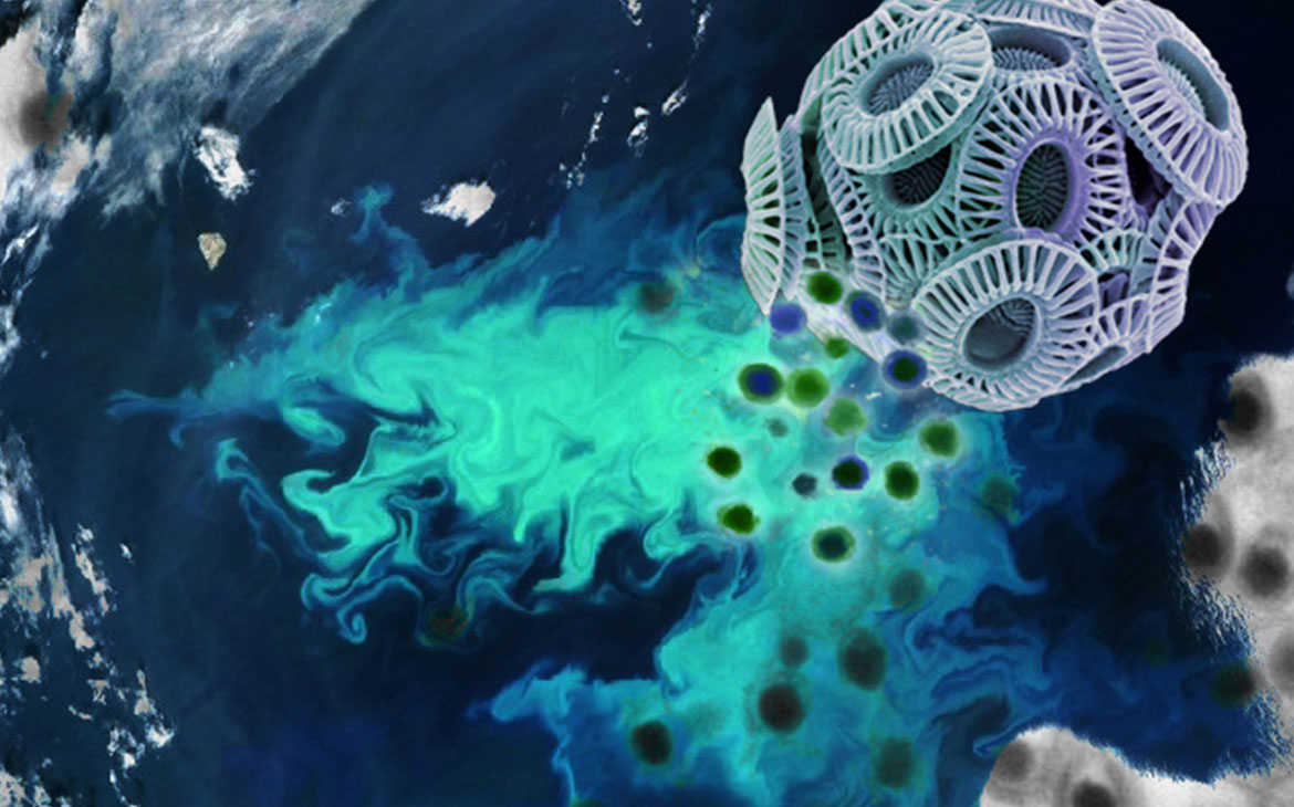 Read more about the article Viruses that lubricate ocean carbon flux