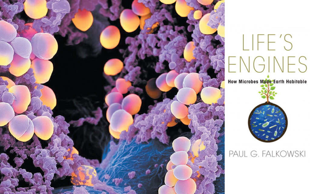 Life’s Engines: How Microbes Made Earth Habitable – Rutgers University ...