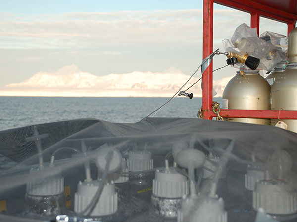 Climate Change: Ocean Acidification and Warming