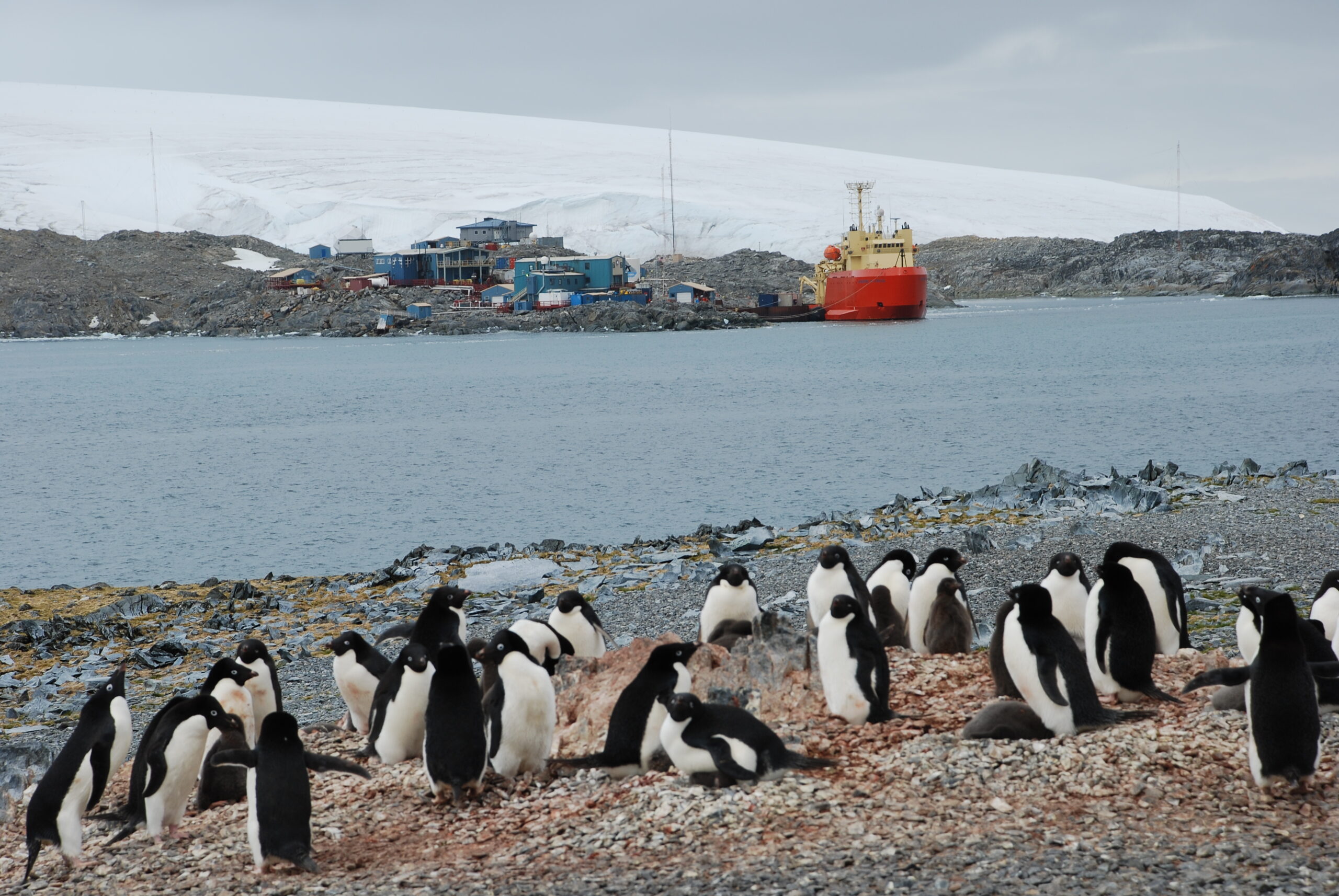 Read more about the article The Future of Antarctica and the Southern Ocean that surrounds it
