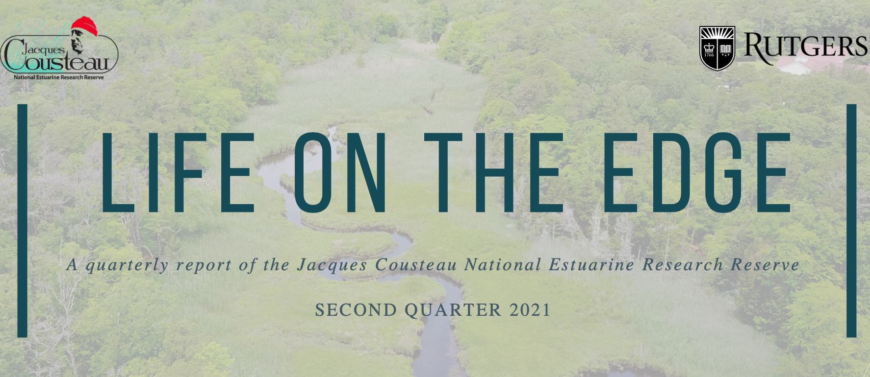 Read more about the article JC NERR’s Life on the Edge Report – Second Quarter 2021