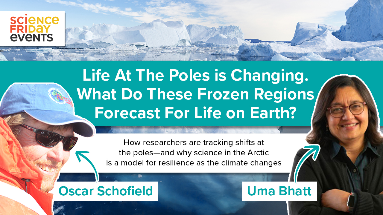 Read more about the article SciFri Zoom Call-In Featuring Oscar Schofield: Life At The Poles is Changing. What Do These Frozen Regions Forecast For Life on Earth?