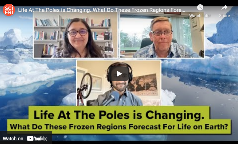 Life At The Poles Is Changing. What Do These Frozen Regions Forecast?