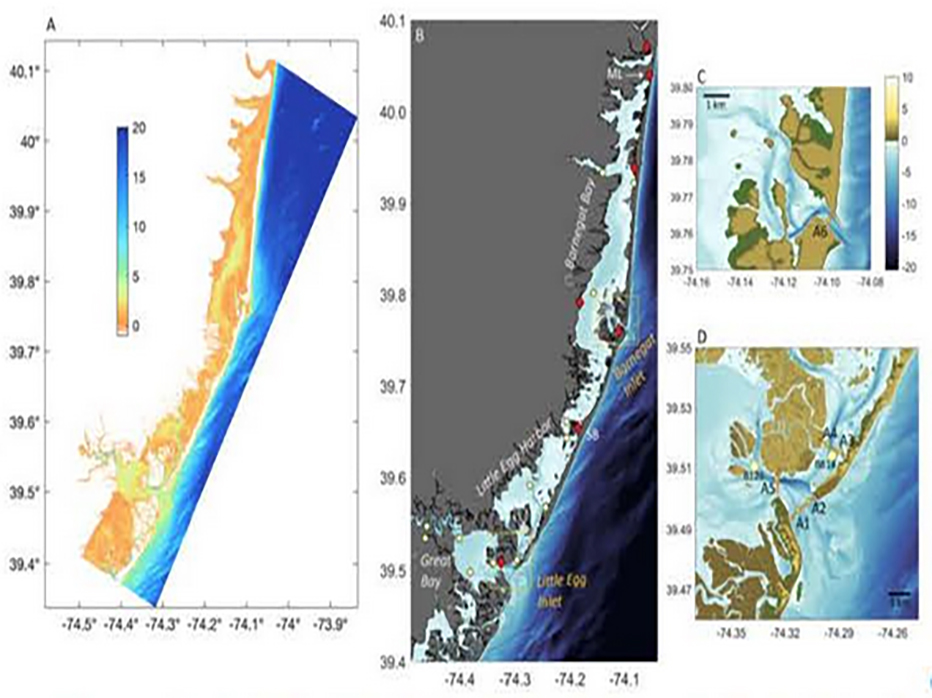 Read more about the article Tidally rectified flows in multiple inlet/lagoon systems: Consequences for transport and residence times