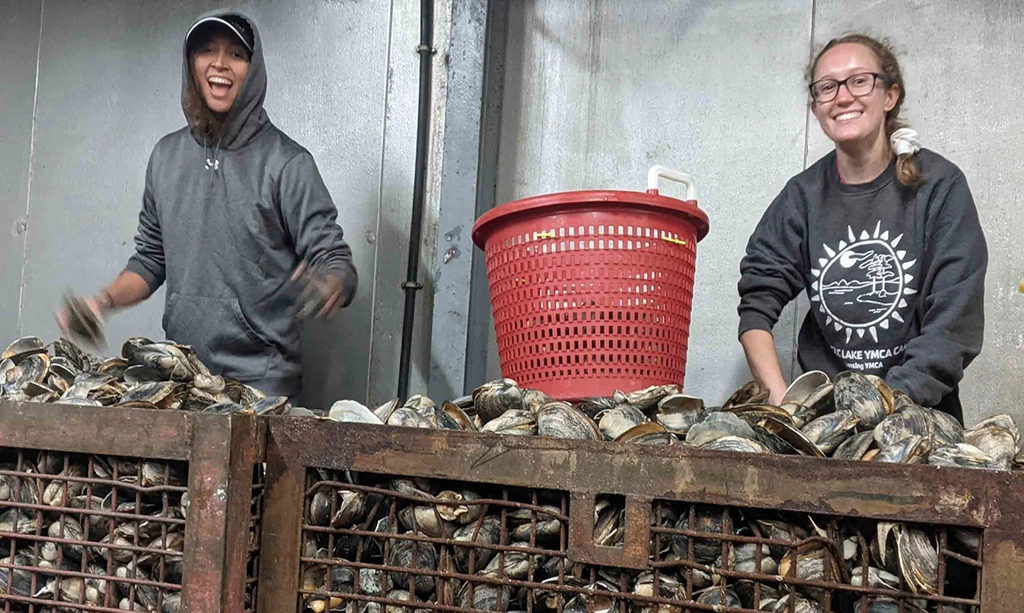 Surf Clams Off the Coast of Virginia Reappear – and Rebound