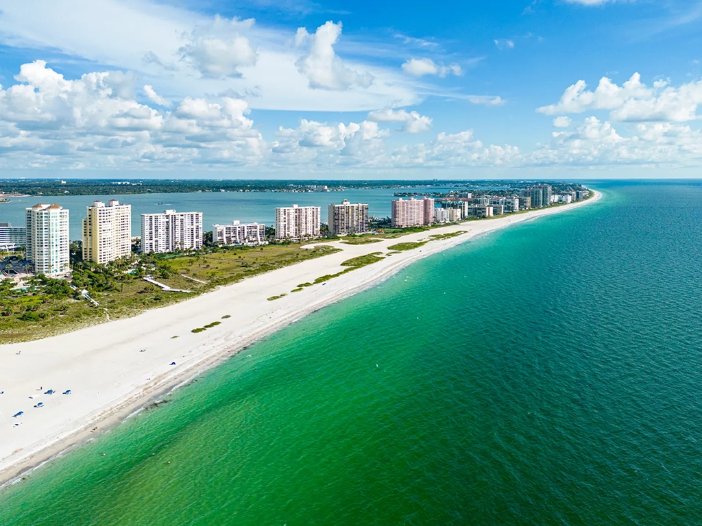 Read more about the article Darpa Thinks Walls of Oysters Could Protect Shores Against Hurricanes