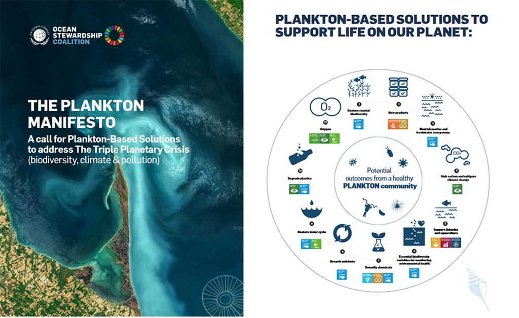 Paul Falkowski Among International Academic Leaders to Unveil Plankton Manifesto to UN General Assembly