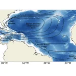 RUCOOL Researchers Find Decades of Warming and Salinity Changes in the Caribbean Sea