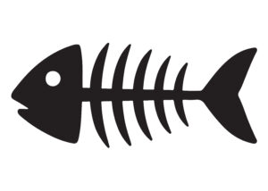 fish bone