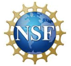 nsf logo