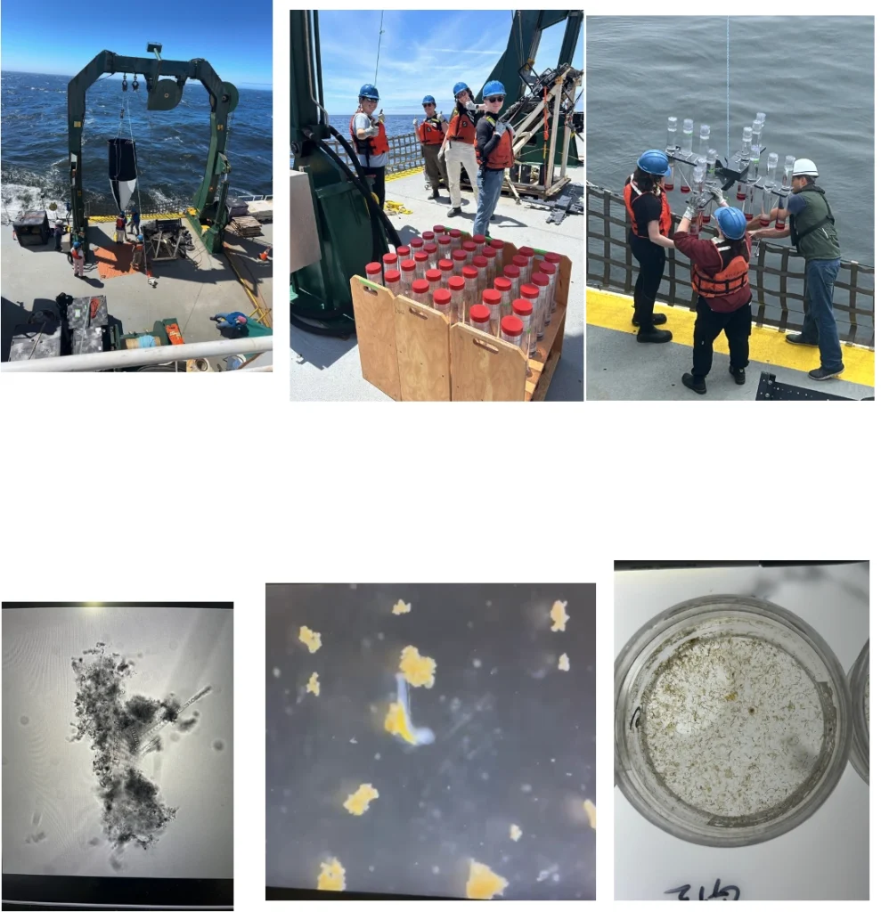 research collage