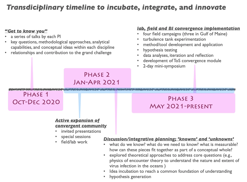 transdiciplinary