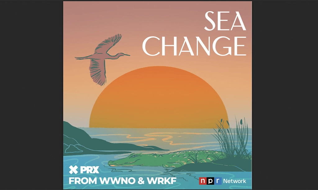 Understanding the Mysterious Loop Current