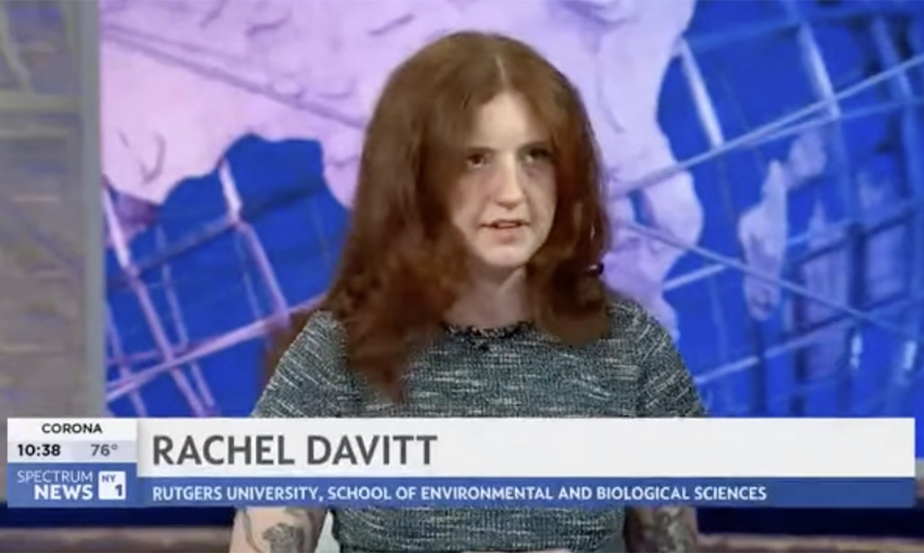 Rachel Davitt interviewed on NY1