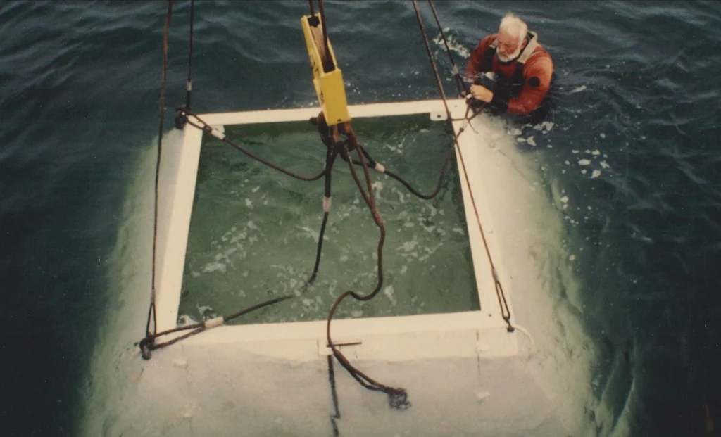 With sensors in place, the observatory began delivering continuous, real-time observations. Researchers could now watch ocean processes unfold instead of waiting for occasional cruises.